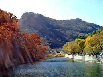 新澳天天开奖资料大全旅游团，湘阴变压器